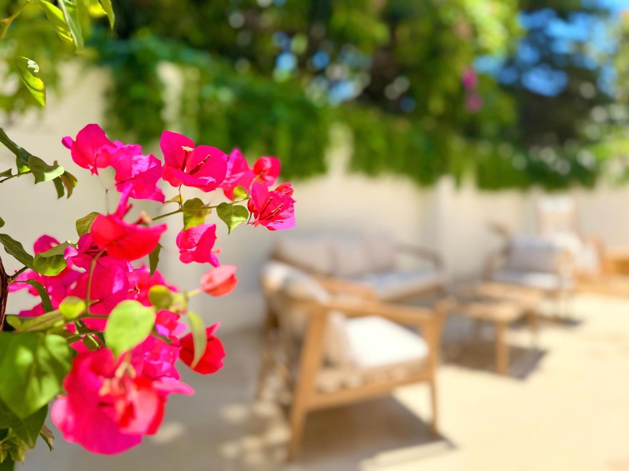 Carbone XXI Bed & Breakfast Catania Ngoại thất bức ảnh